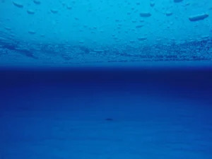 Image of the Week — Hidden lakes in East Antarctica !