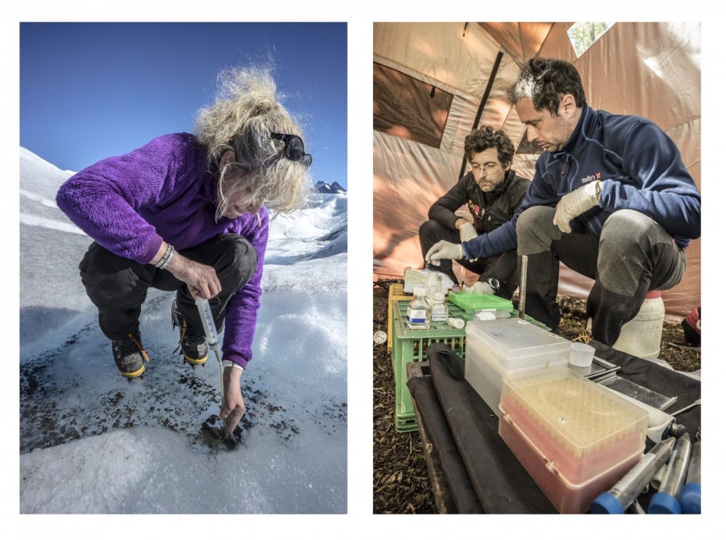 Image of the week – Micro-organisms on Ice!