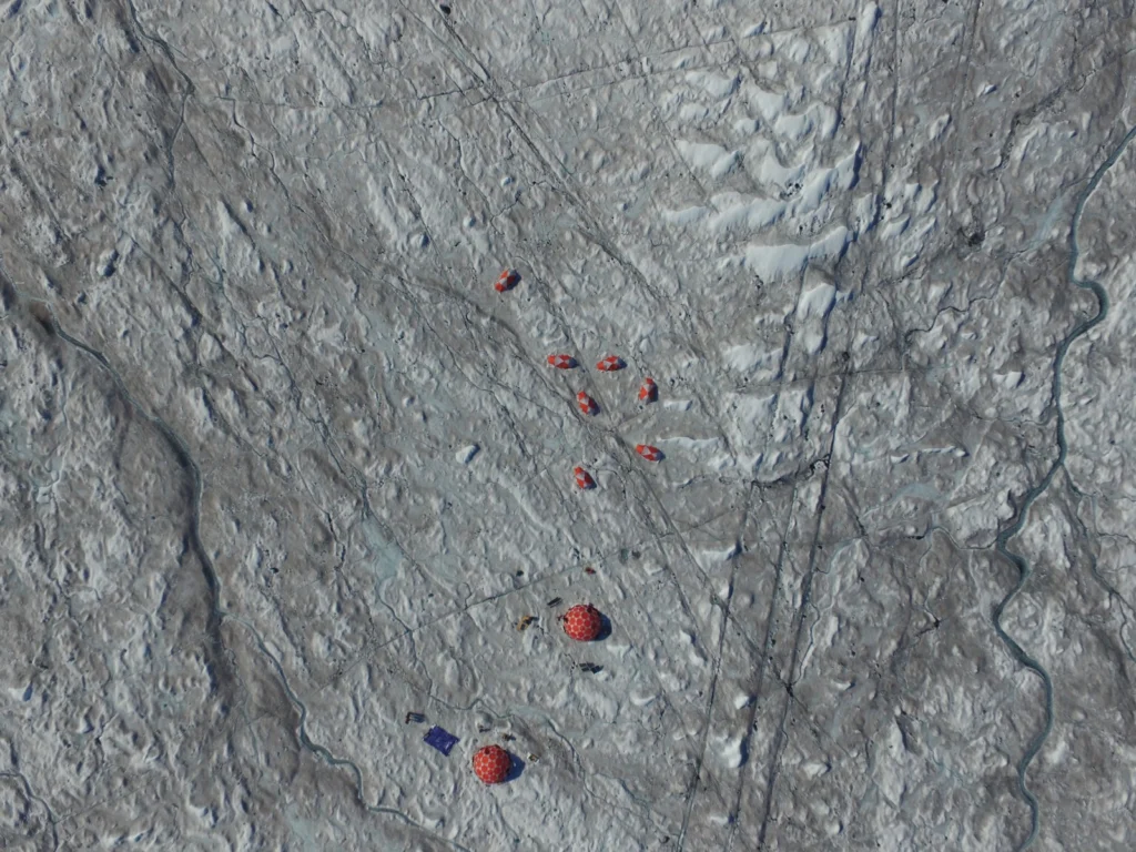 Image of the Week – Bioalbedo: algae darken the Greenland Ice Sheet