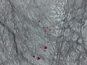 Image of the Week – Bioalbedo: algae darken the Greenland Ice Sheet