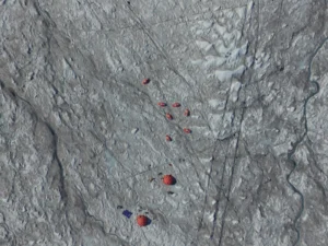 Image of the Week – Bioalbedo: algae darken the Greenland Ice Sheet
