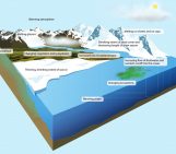 Image of the Week – Arctic changes in a warming climate