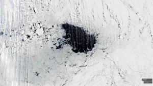 Image of the Week – A Hole-y Occurrence, the reappearance of the Weddell Polynya