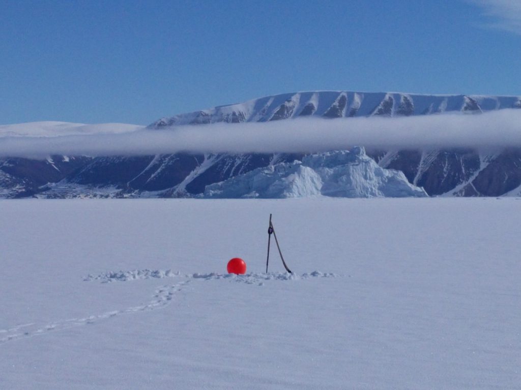 Image of the Week – Icy expedition in the Far North