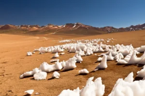 Image of the Week – Alien-iced