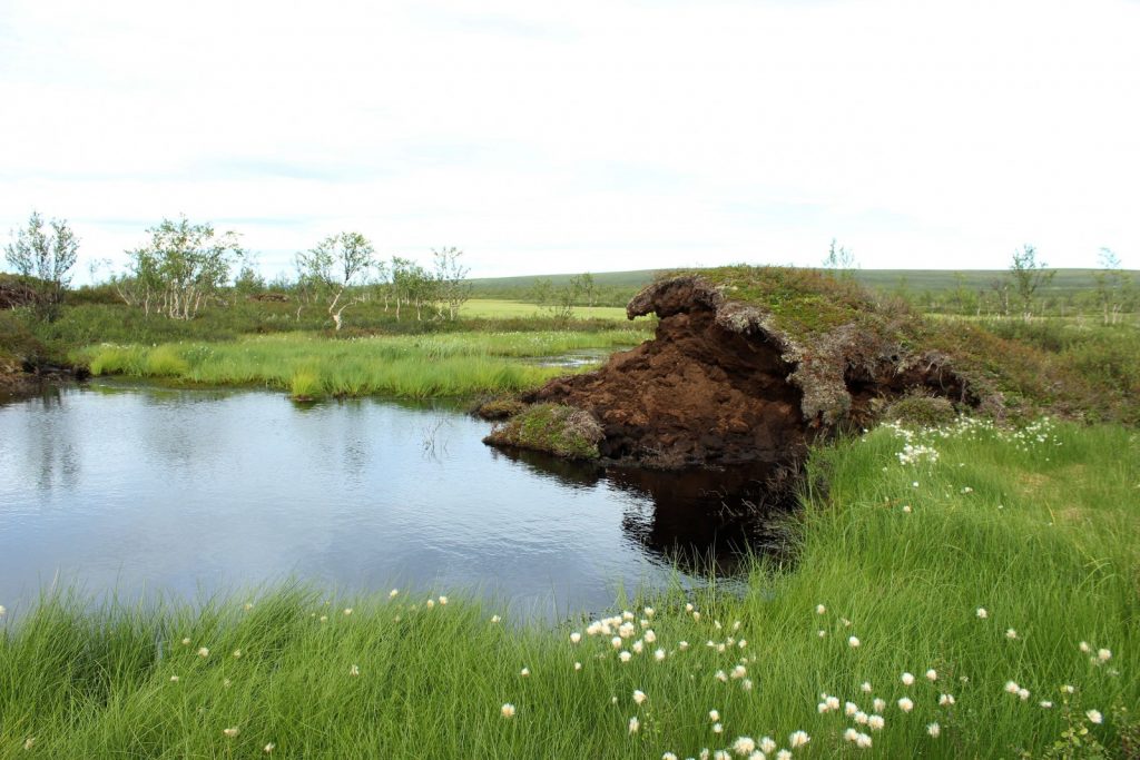 Image of the Week – Permafrost features disappearing from subarctic peatlands