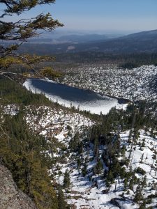 Image of the Week – Life in blooming melting snow
