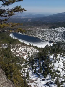Image of the Week – Life in blooming melting snow
