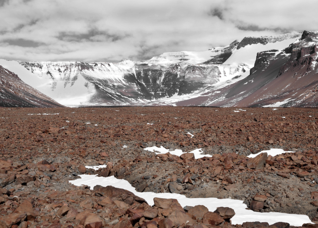 Image of the Week – Desert Varnish, Antarctica Style