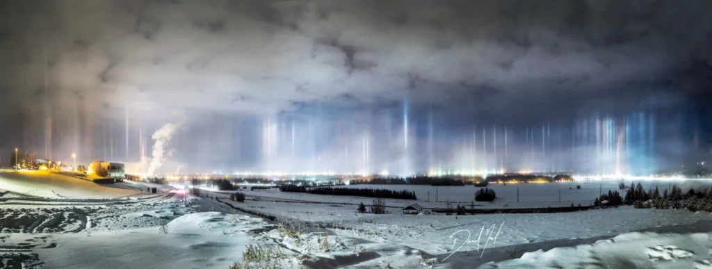 Did you know about… nature’s street lights for Santa Claus?