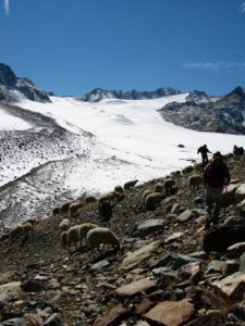 Education in glaciology: Witnessing the death of a glacier