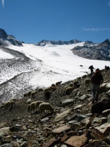 Education in glaciology: Witnessing the death of a glacier