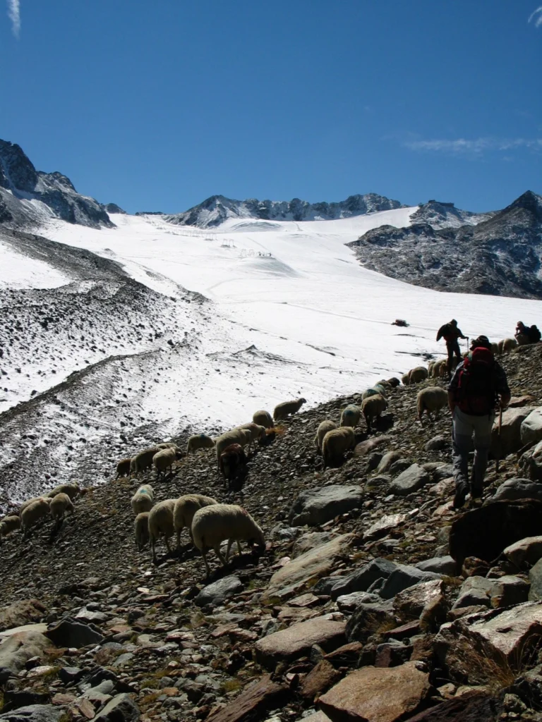 Education in glaciology: Witnessing the death of a glacier