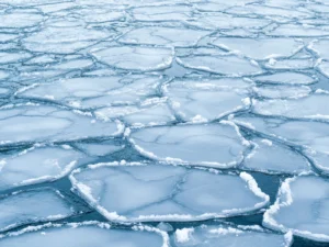 Did you know…  the difference between sea-ice area and sea-ice extent?