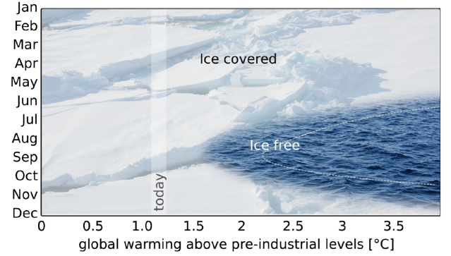 The future of Arctic sea ice
