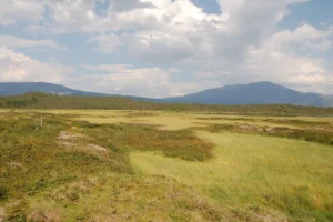 Climatic drivers of permafrost mounds in North American peatlands