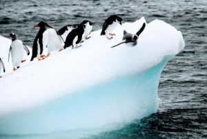 How small changes can make a big difference: tipping points in Antarctica