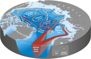 Image of the Week – Did you know that Arctic sea ice is melting from the bottom?