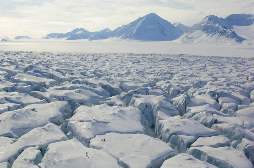 The Norwegian Polar Institute