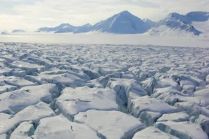 The Norwegian Polar Institute