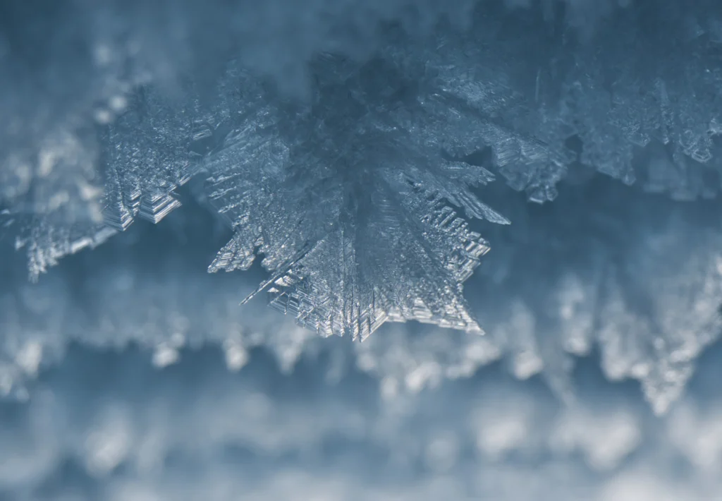 Cryo Careers: Should I stay, or should I go? Non-linear career paths