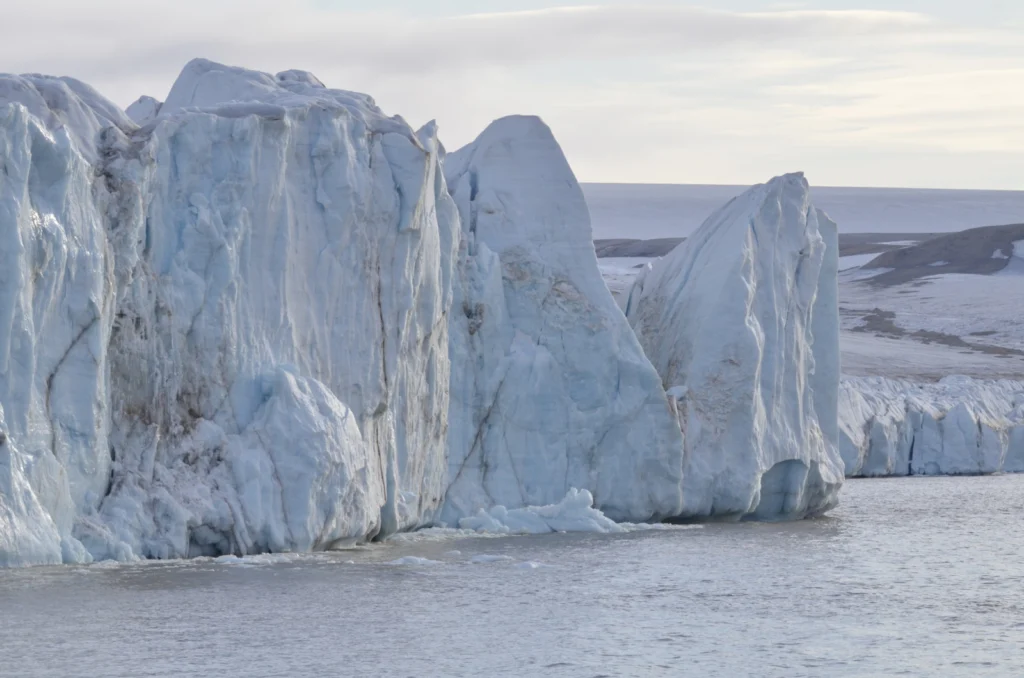 Of Polar Bears and Sediment Cores: a Scientific Cruise in the Arctic