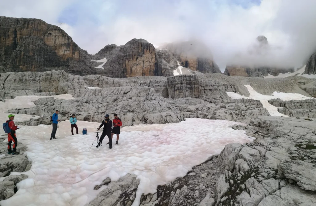 Cryo-Adventures – Hunting snow algae in the Alps