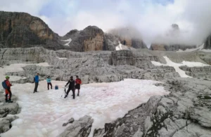 Cryo-Adventures – Hunting snow algae in the Alps