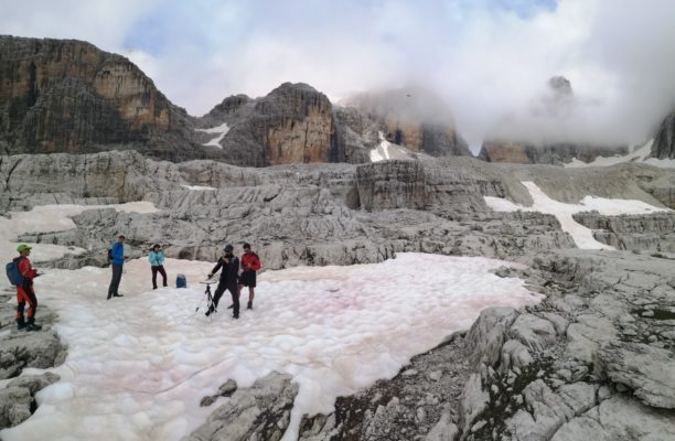 Cryo-Adventures – Hunting snow algae in the Alps