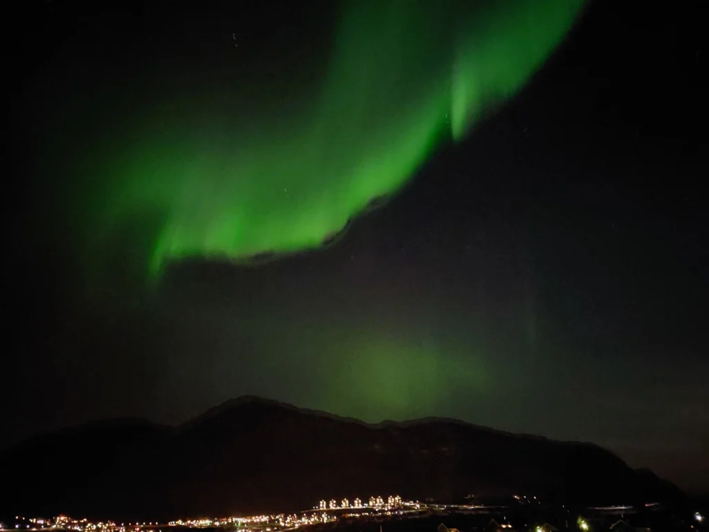 Dark sky with greenish Aurora Borealis.