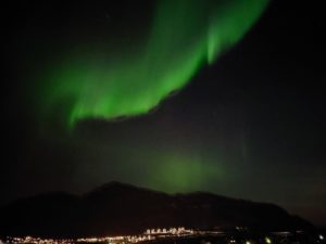 Dark sky with greenish Aurora Borealis.