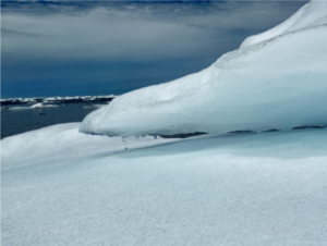 The Polar Amplifier