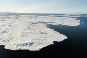 Winds and Antarctic sea-ice cover: what is the role of human activities?