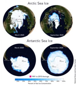 Did you know the differences between Arctic and Antarctic sea ice?