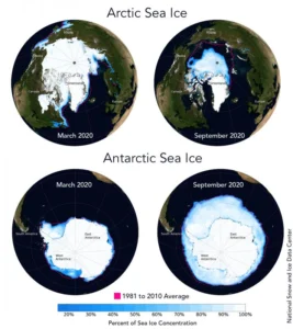 Did you know the differences between Arctic and Antarctic sea ice?