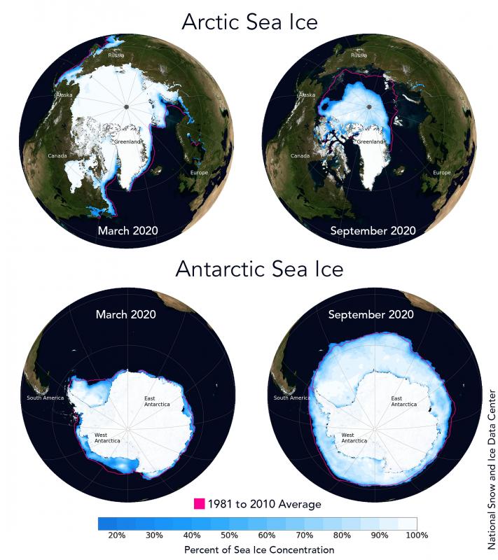 Did you know the differences between Arctic and Antarctic sea ice?