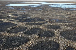 The intriguing order of cold terrains