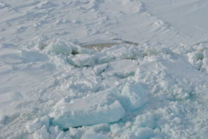 Highlighted Paper – Welcome to the microbial BBQ in Arctic Sea ice