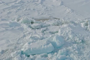 Highlighted Paper – Welcome to the microbial BBQ in Arctic Sea ice