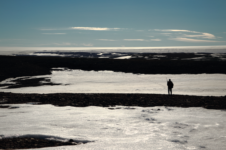 Image of the week – The gaze of the ice cap