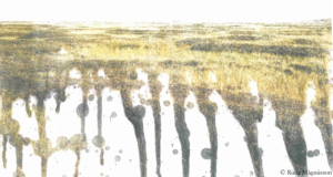 Fostering connections with frozen landscapes