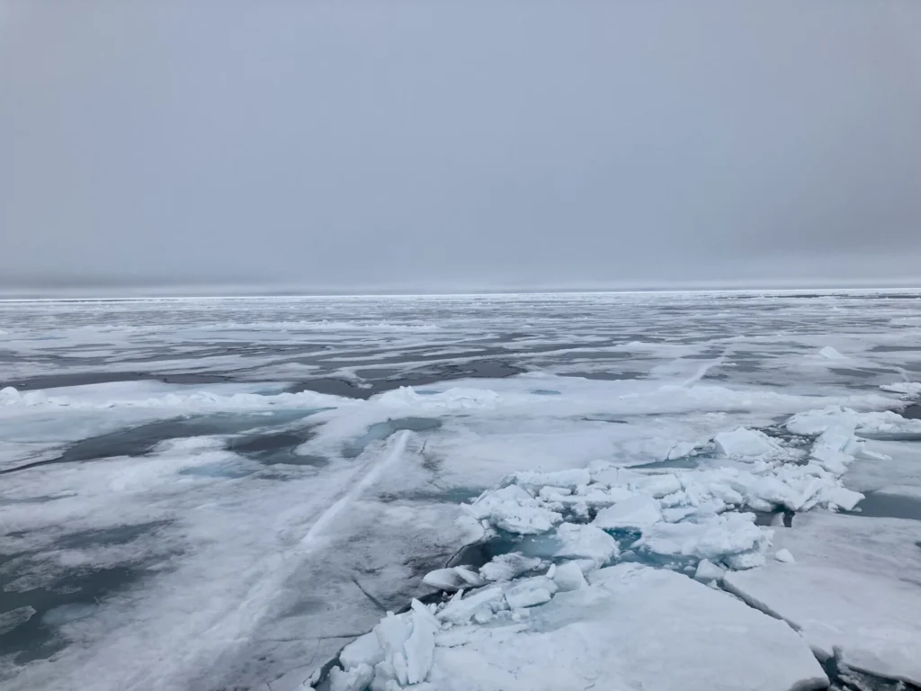 Did you know there’s a (relatively new) treaty for the Central Arctic Ocean?