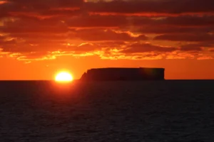 The search for the Antarctic giants!