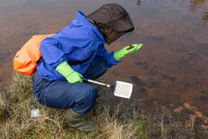 A person is kneeling down at a brown pond, all covered in mosquito net, waterproof gear, kitchen gloves and a pancake flipping spatula.