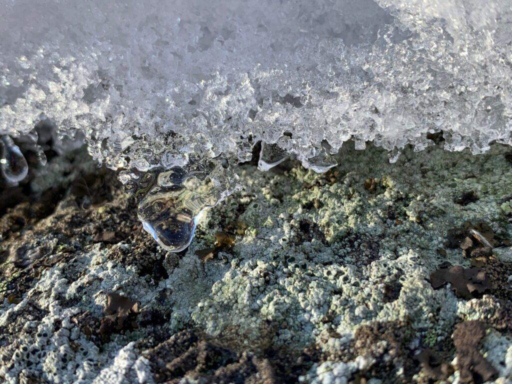 Light shines through the edge of melting ice on a rock.