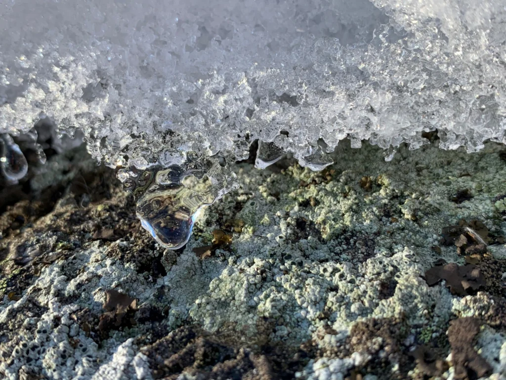 Light shines through the edge of melting ice on a rock.