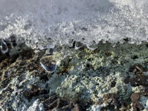 Light shines through the edge of melting ice on a rock.