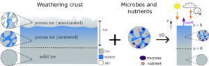 A graphic of weathering crust on an ice sheet (a cross section view) on the left, and on the right is a brief schematic of how the microbes figure into the ice sheet as represented by simple drawings of pore space, melt, and physics equations