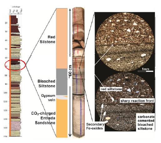 Entrada formation from surface to top Carmel Fm with CO2-charged sandstone layer, overlain by a low permeability clayey siltstone showing bleaching and CO2 reaction features. A sharp contact between bleached and unbleached is observed.