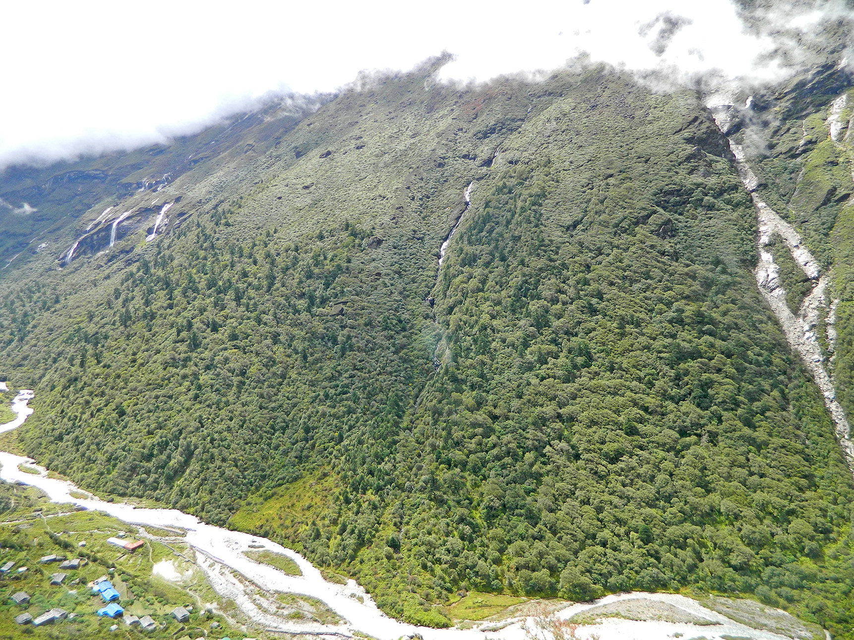 Climatic treeline (3900–4000 m) on a north-facing slope in Rolwaling, Nepal (Schwab, 18 September 2014).